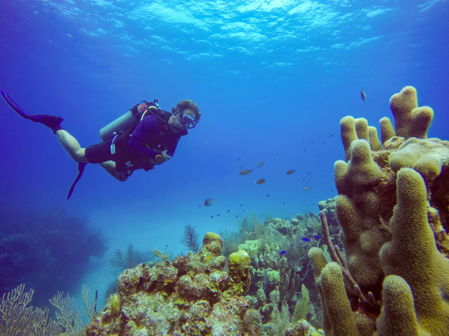 Scuba diver exploring the Belize Barrier Reef